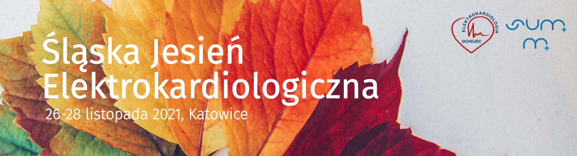Śląska Jesień Elektrokardiologiczna 2021